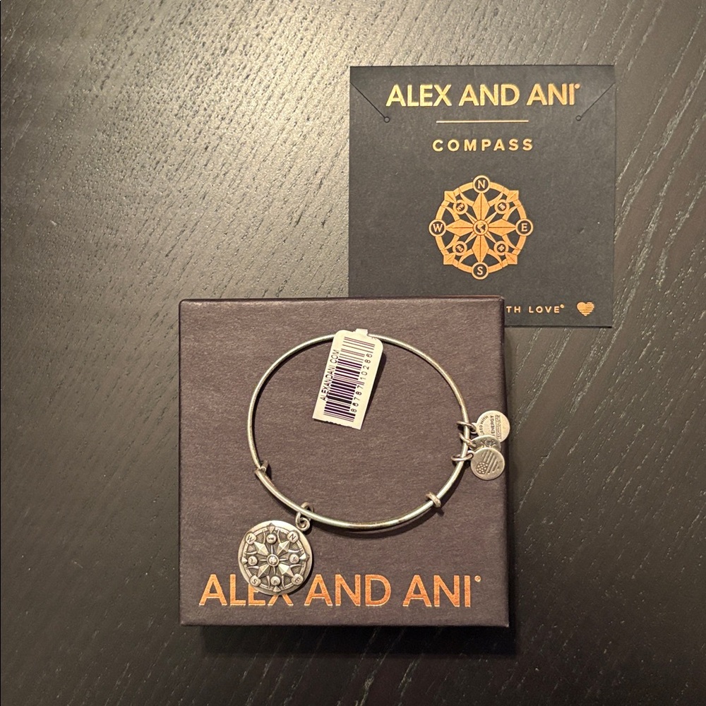 Alex and Ani Silver Compass Charm Bracelet